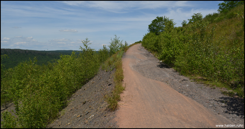 Der Weg führt konstant steil bergauf, die Aussicht wird mit jedem Meter besser