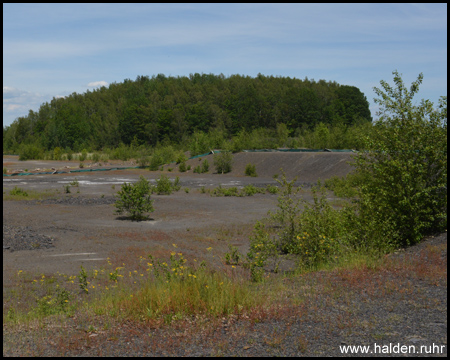 Haldenplateau mit Himmelsspiegel (trocken)