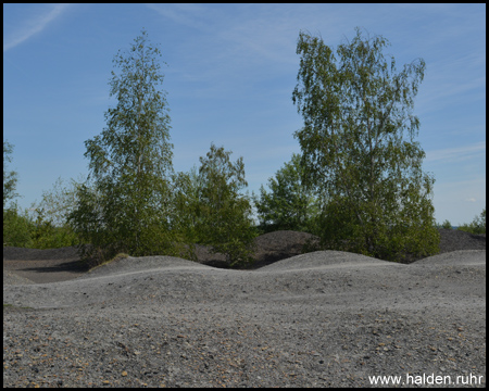 Kleine Hügel mit letzten Bergemassen auf dem Plateau