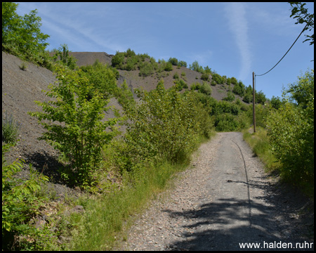 Auf dem Haldenwanderweg von der Südseite auf Halde Lydia