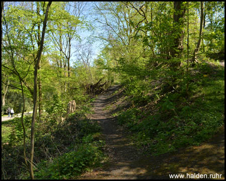 Halde neben dem Rad- und Wanderweg (Blick zurück)