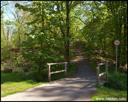 Halde Maria Anna & Steinbank in Wattenscheid (Halde Marianne 3)