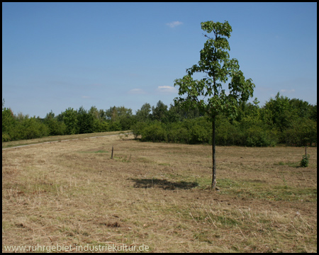 Halde Massen in Unna und Dortmund