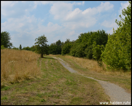 Halde Massen in Unna und Dortmund