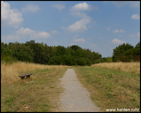 Halde Massen in Unna und Dortmund