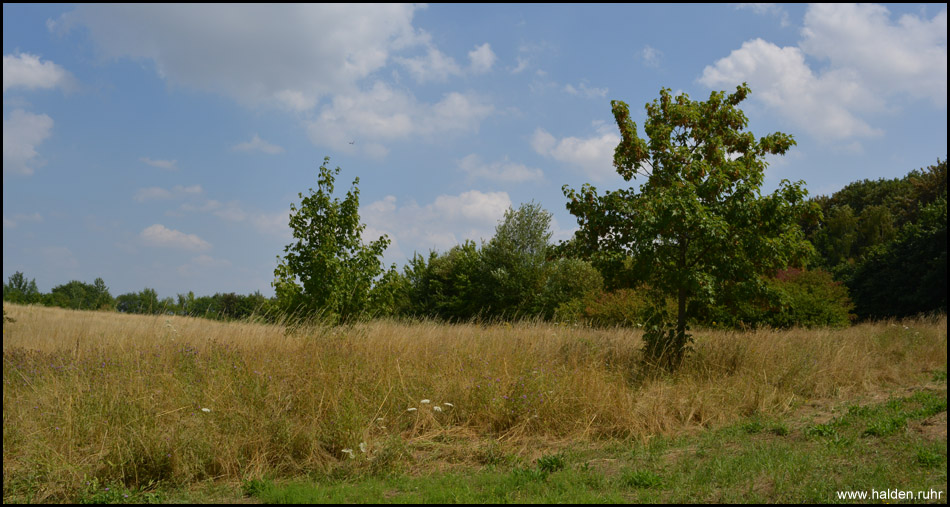 Halde Massen in Unna und Dortmund