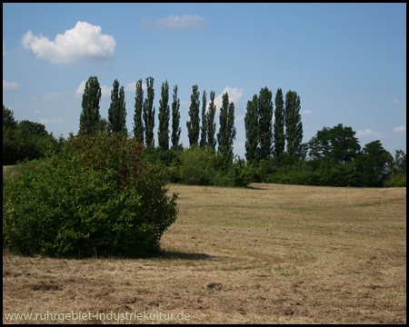 Halde Massen in Unna und Dortmund