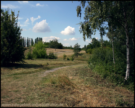 Halde Massen in Unna und Dortmund