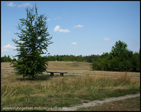 Halde Massen in Unna und Dortmund