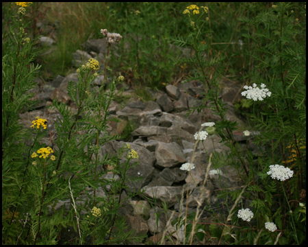 Halde Massen in Unna und Dortmund