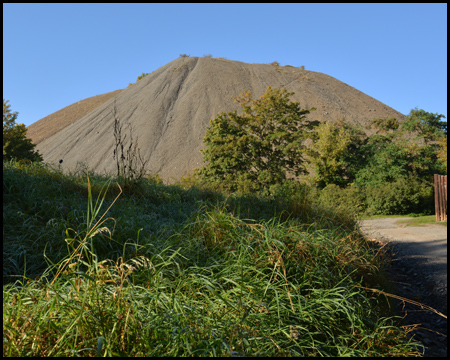 Halde an der Kleingartenanlage