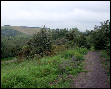 Blick von der Moltke- auf die Mottbruchhalde