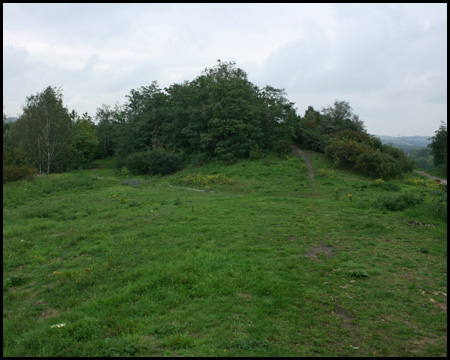 Blick zum höchsten Punkt der Moltke-Halde I / II