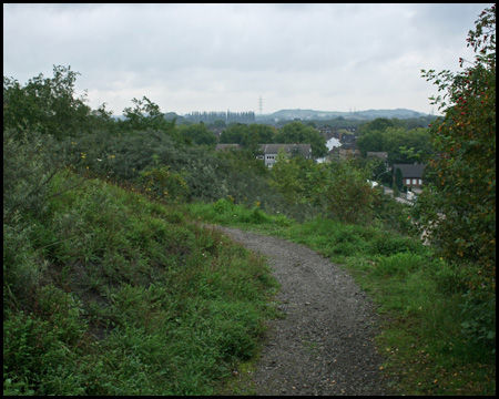 Blick Richtung Buer, hinten Halde Rungenberg