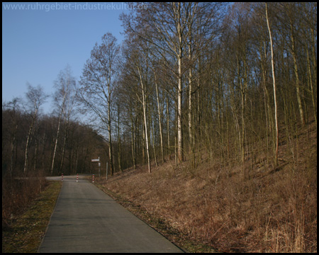 Gut ausgebauter Radweg neben der Halde (rechts)