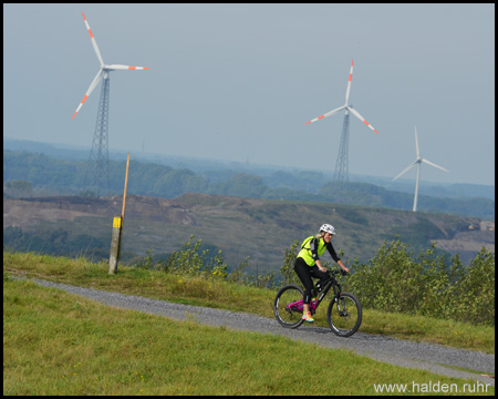 Mountainbiker vor der Kulisse des Eyller Berges