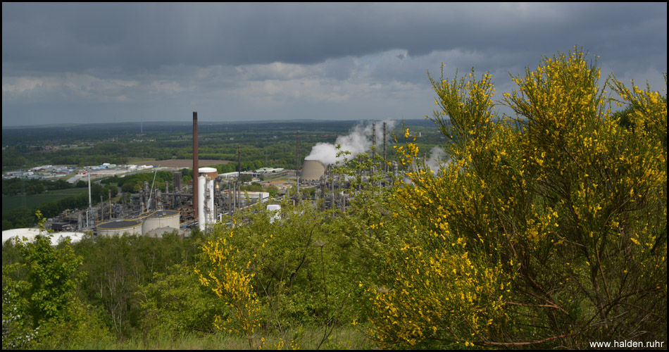 Aussicht auf die benachbarte Raffinerie