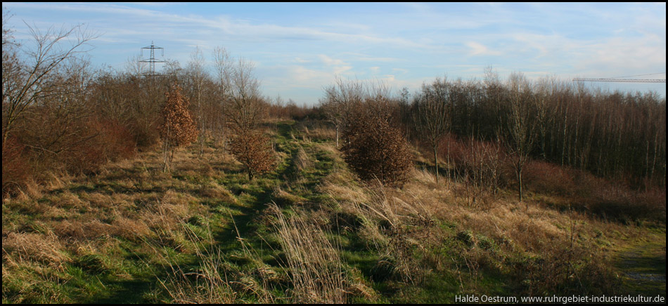 Blick nach Osten vom Wegdreieck aus. Rechts geht es bergab ins Gewerbegebiet Mevissen