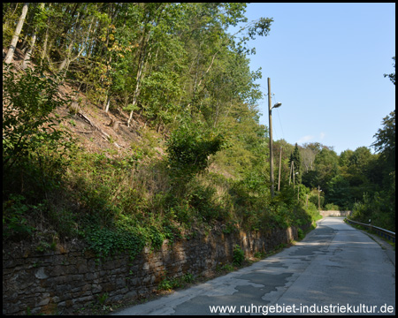 Halde Pauline an der gleichnamigen Straße