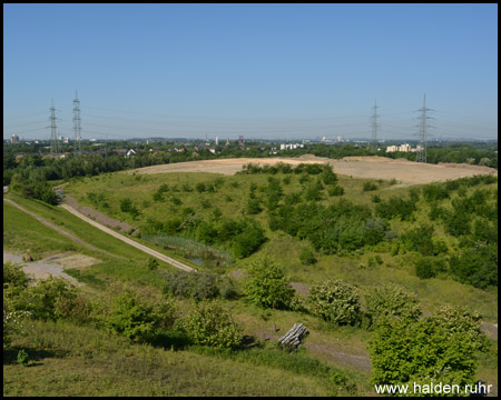 Benachbarte Thyssen-Halde und Zeche Consol im Hintergrund