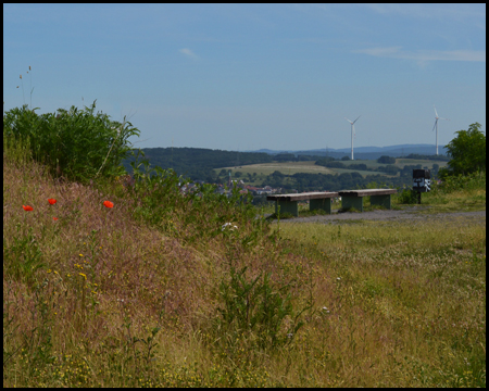 Bank am Rande des Gipfelplateaus der Halde