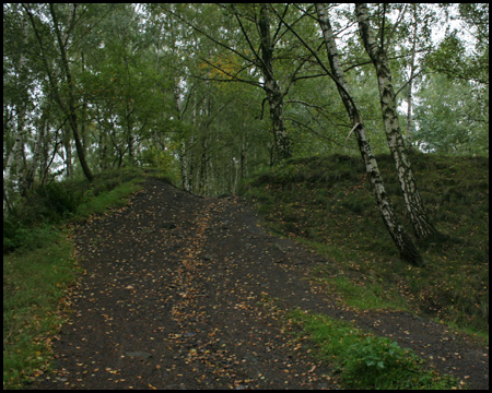 Hochgelegener Haldenabschnitt