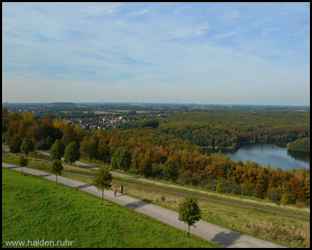 Waldsee unterhalb der Halde, links hinten die Halde Pattberg