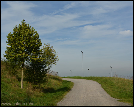 Beleuchteter Hang der Bergehalde