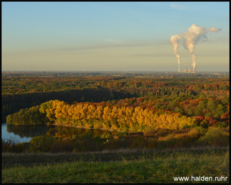 Spiegelglatter Waldsee und herbstliches Niederrheinland