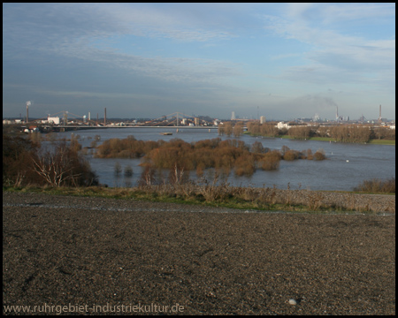 Blick nach Norden: Der Rhein führt Hochwasser