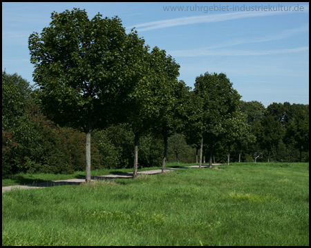 Breite Wiesenflächen im Rolandpark