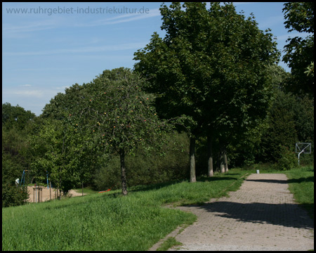 Spielplatz und Basketballkorb