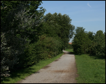 Radweg am Rande der Halde Am Ruhrufer