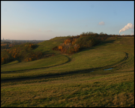 Böschungen und Gipfel der Halde Rungenberg