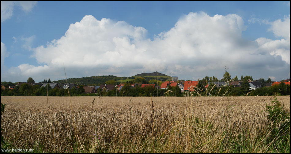 Halde Rungenberg hinter den Häusern des Gelsenkirchener Vorortes Beckhausen aus einer Entfernung von ca. einem Kilometer gesehen