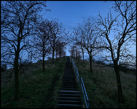 Eine steile Treppe führt in der Dämmerung einen begrünten Hügel hinauf, gesäumt von kahlen Bäumen.