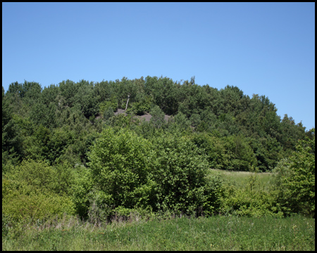 Alte Halde von der Straße aus gesehen