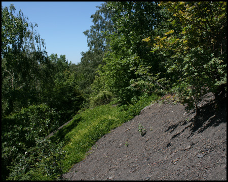 Direktaufstieg über die Flanke und das taube Gestein