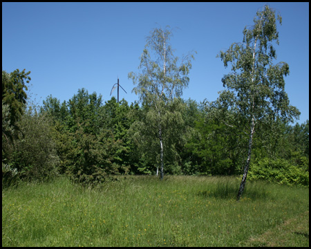 Windzeiger auf der mittleren Windsegelhalde, vorne Wildwiese