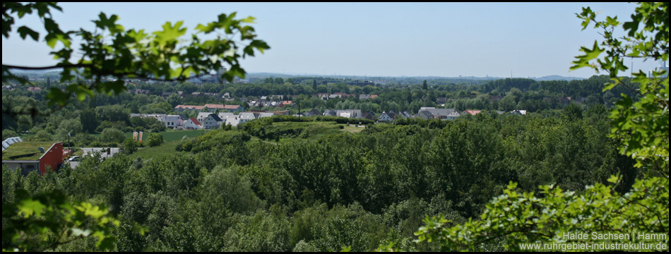 Blick vom Hang der Alten Halde auf die sogenannte Panoramahalde mit dem Sachsenkreuz und dem Picknickplatz (Mitte)