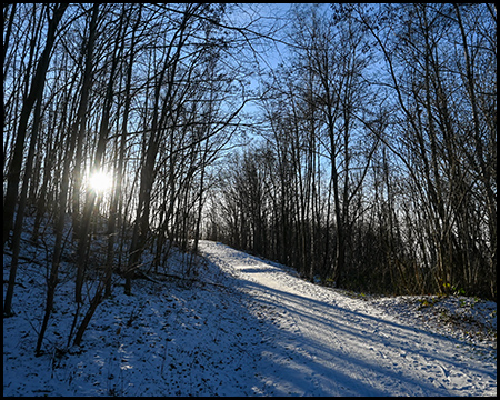 Verschneiter Waldweg bergauf mit tiefstehender Sonne, die durch kahle Baumstämme scheint und lange Schatten wirft.
