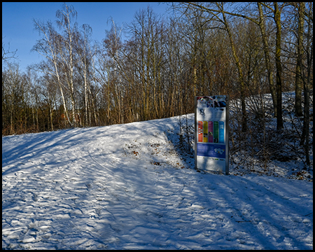 Breiter verschneiter Weg durch lichten Wald mit Informationstafel am Wegrand unter blauem Himmel.