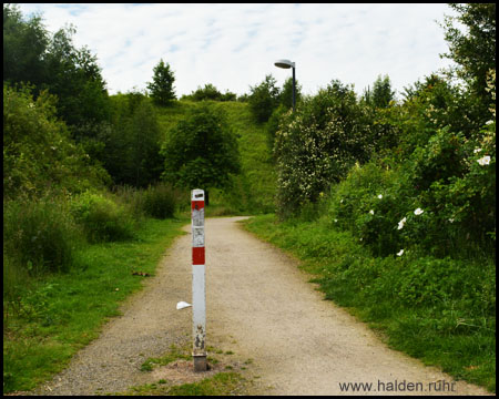 Halde Schlägel & Eisen 1/2