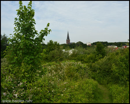 Halde Schlägel & Eisen 1/2