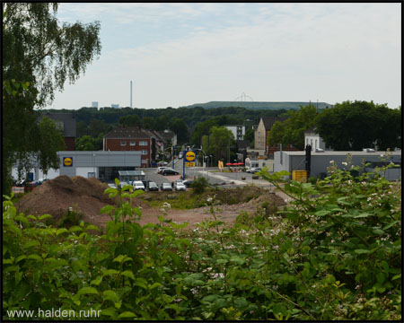 Halde Schlägel & Eisen 1/2