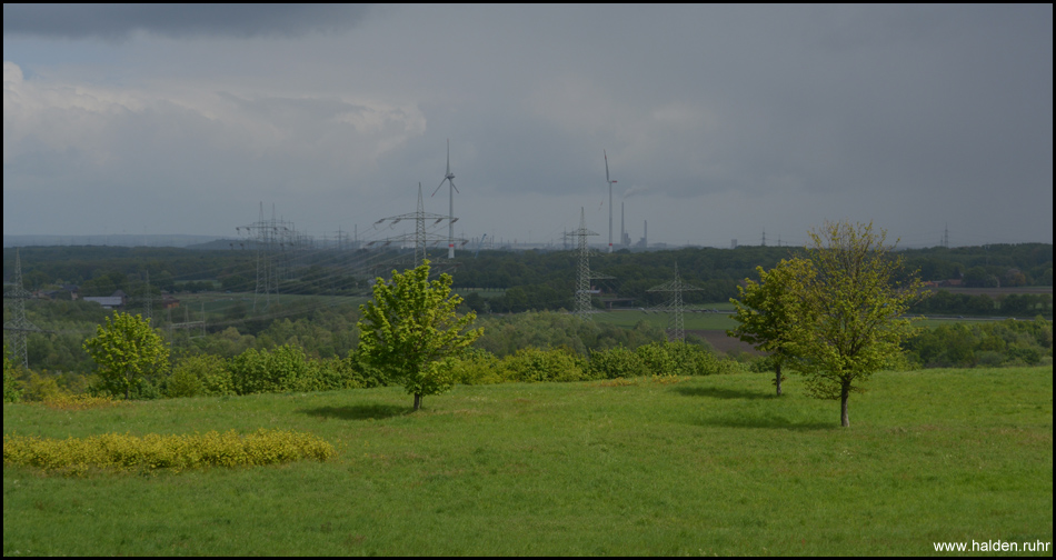 Gipfelplateau mit einzelnen Bäumen und guter Aussicht ins Umland