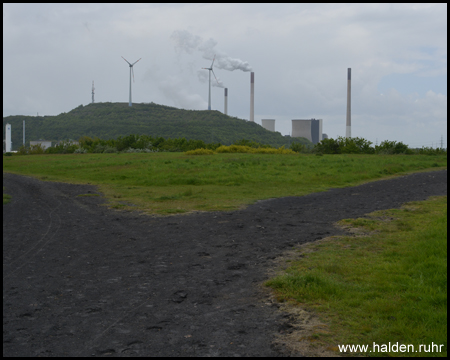 Blick zur Halde Oberscholven nebenan