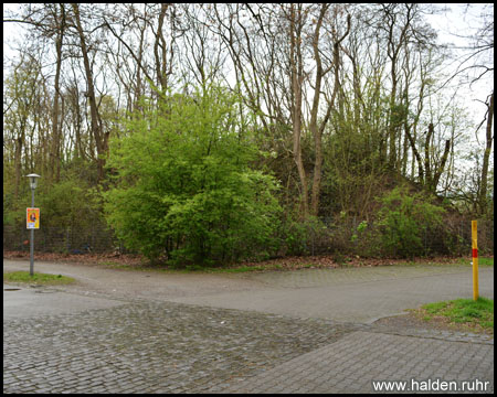 Östliche Moltkehalde vom Festplatz aus gesehen