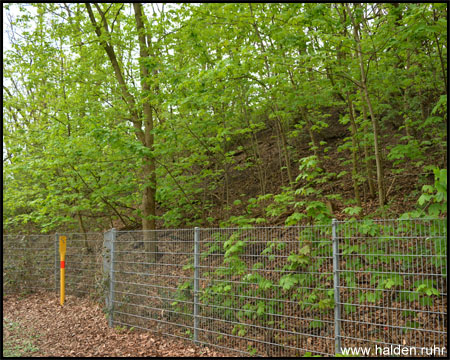 Haldenböschung hinter mannshohem Zaun