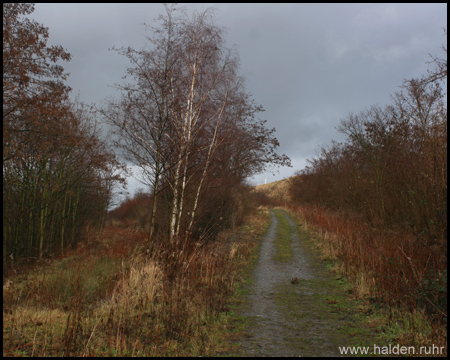 Halde Westlich der Tettenbachstraße